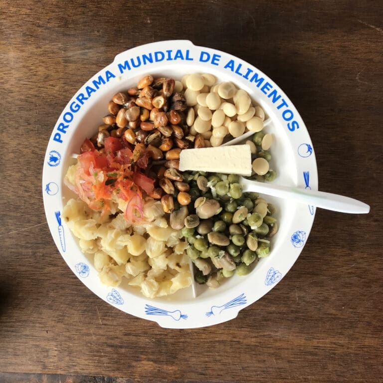 a plate of food