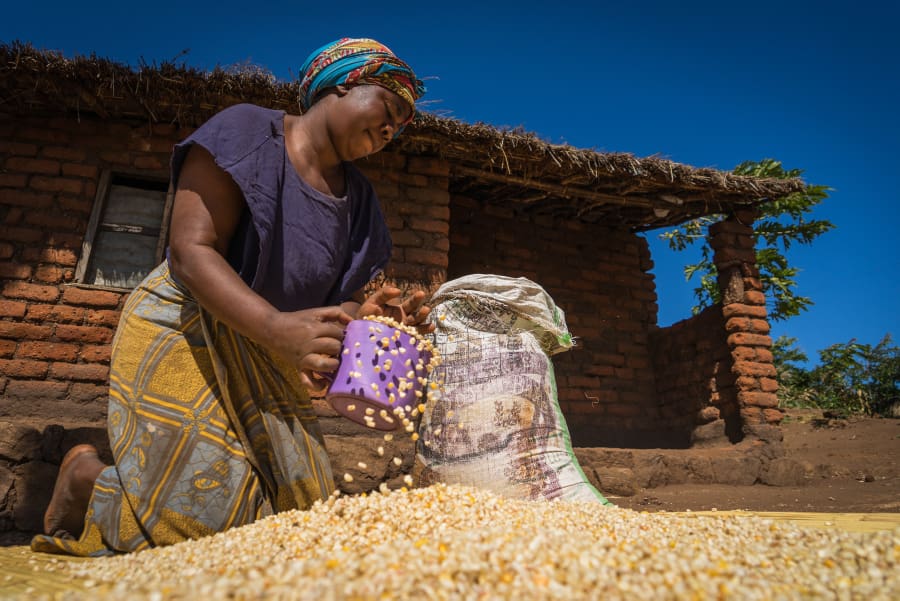 A woman in Malawi puts dried corn in a bag