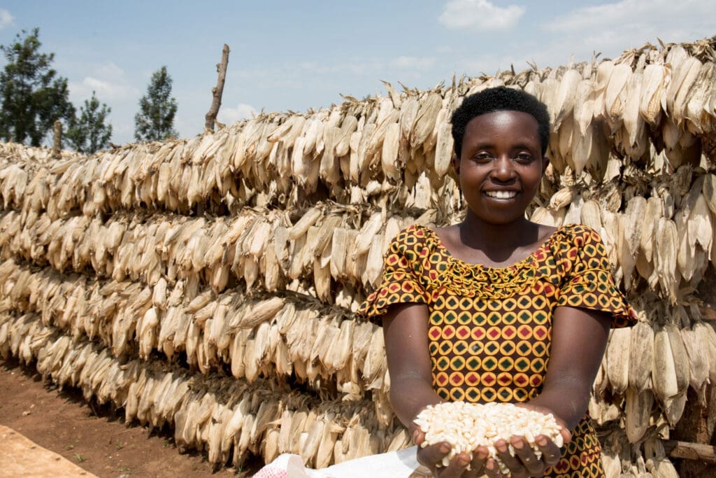 Placidia Nyirancuti, 29 years old, shows the maize that is ready to be shipped from the COMANYA cooperative.
