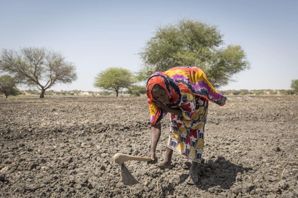 Bai Mbaram attempts to grow a garden in the dry soil around Lake Chad
