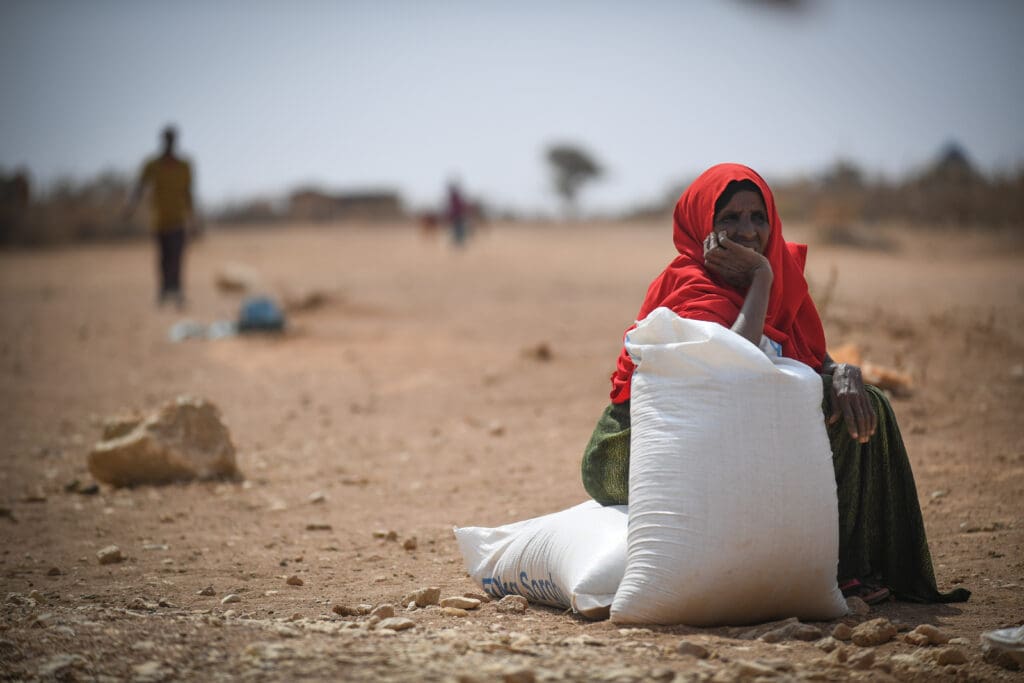 A woman sits in the middle of a dry landscape