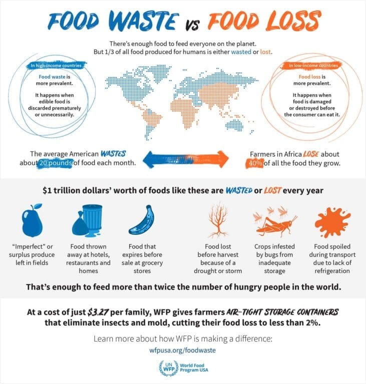 food waste vs loss graphic