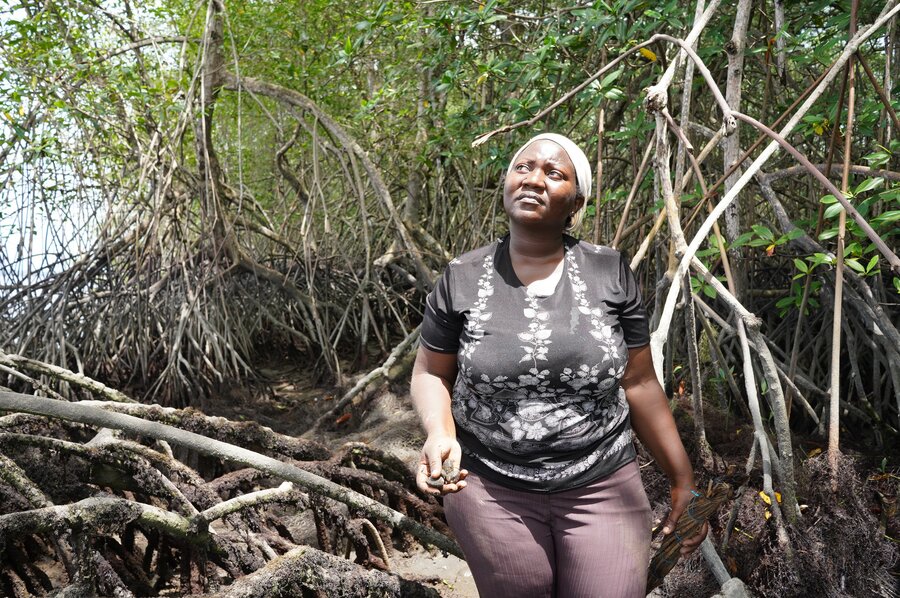 woman sits on tree in mangroves area