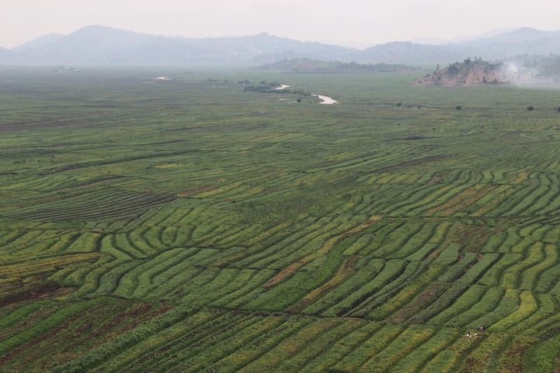 Crop fields in Rwanda prone to flooding