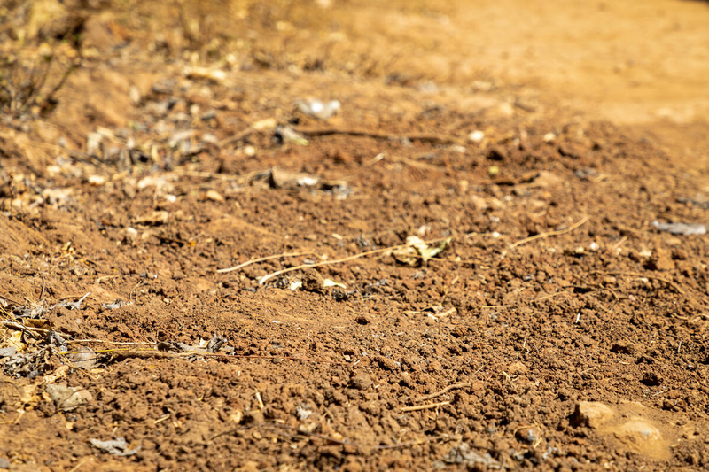 dried up soil in farmland