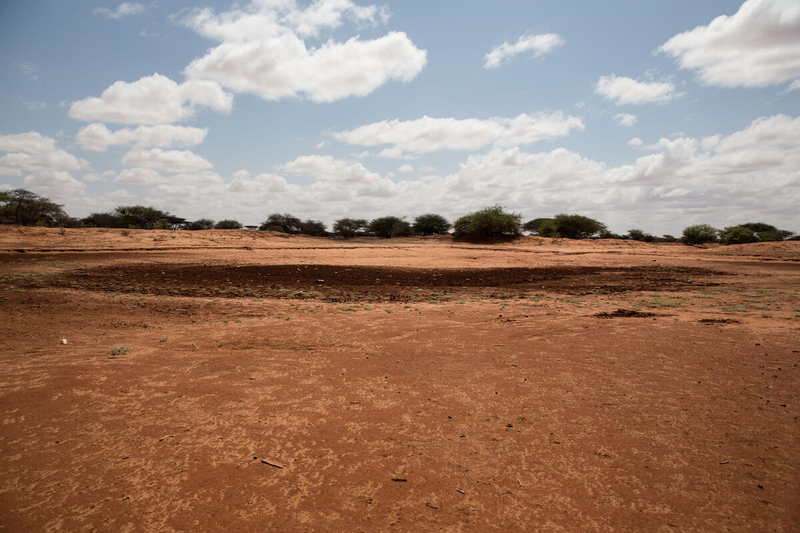 Dry field in Somalia due to drought