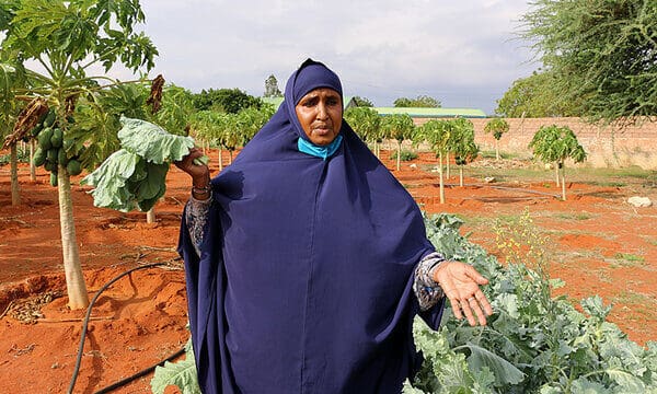 woman in blue headscarf holding up leafy greens on farm