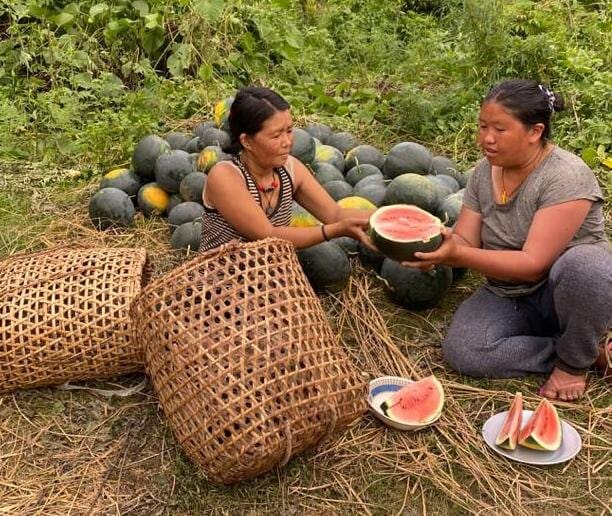 women holding watermelons in field