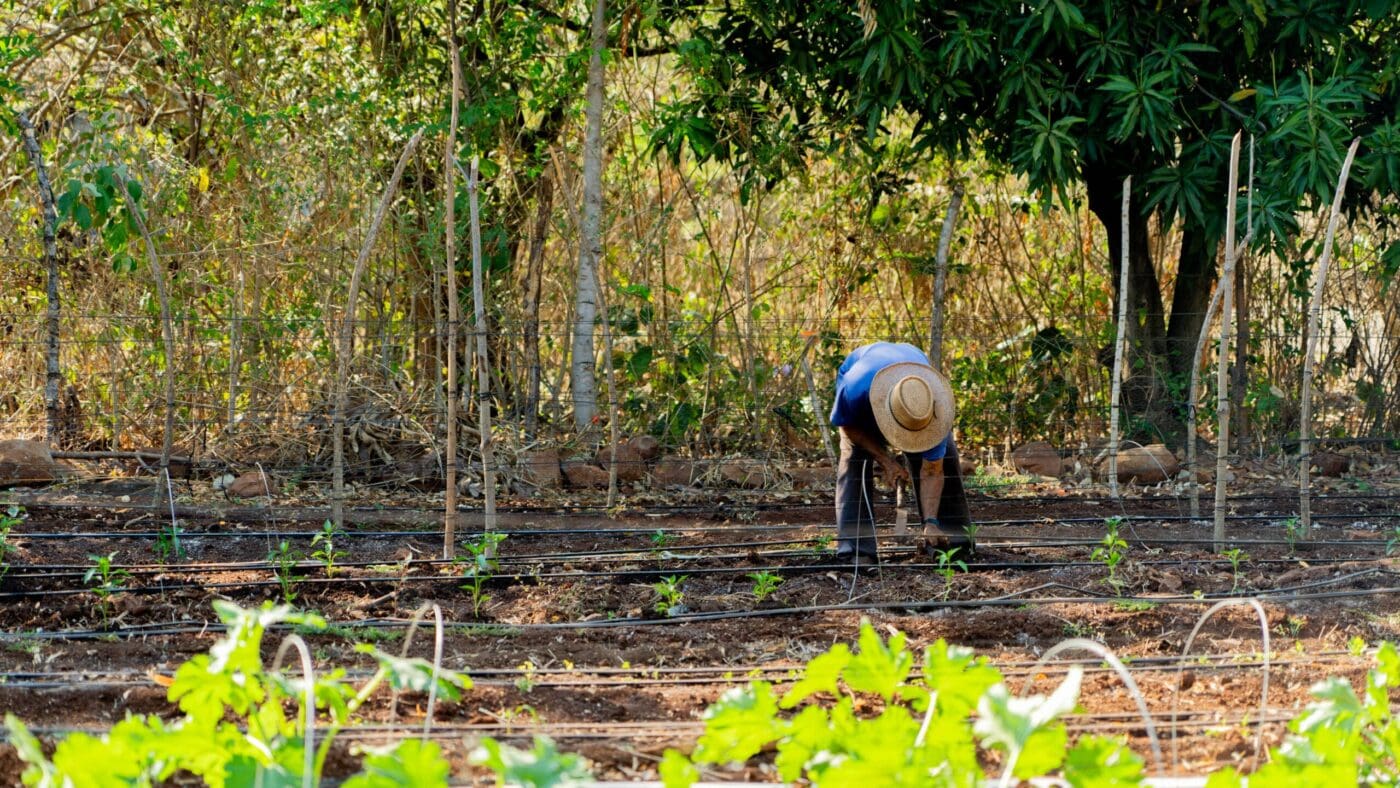 Farmers in El Salvador
